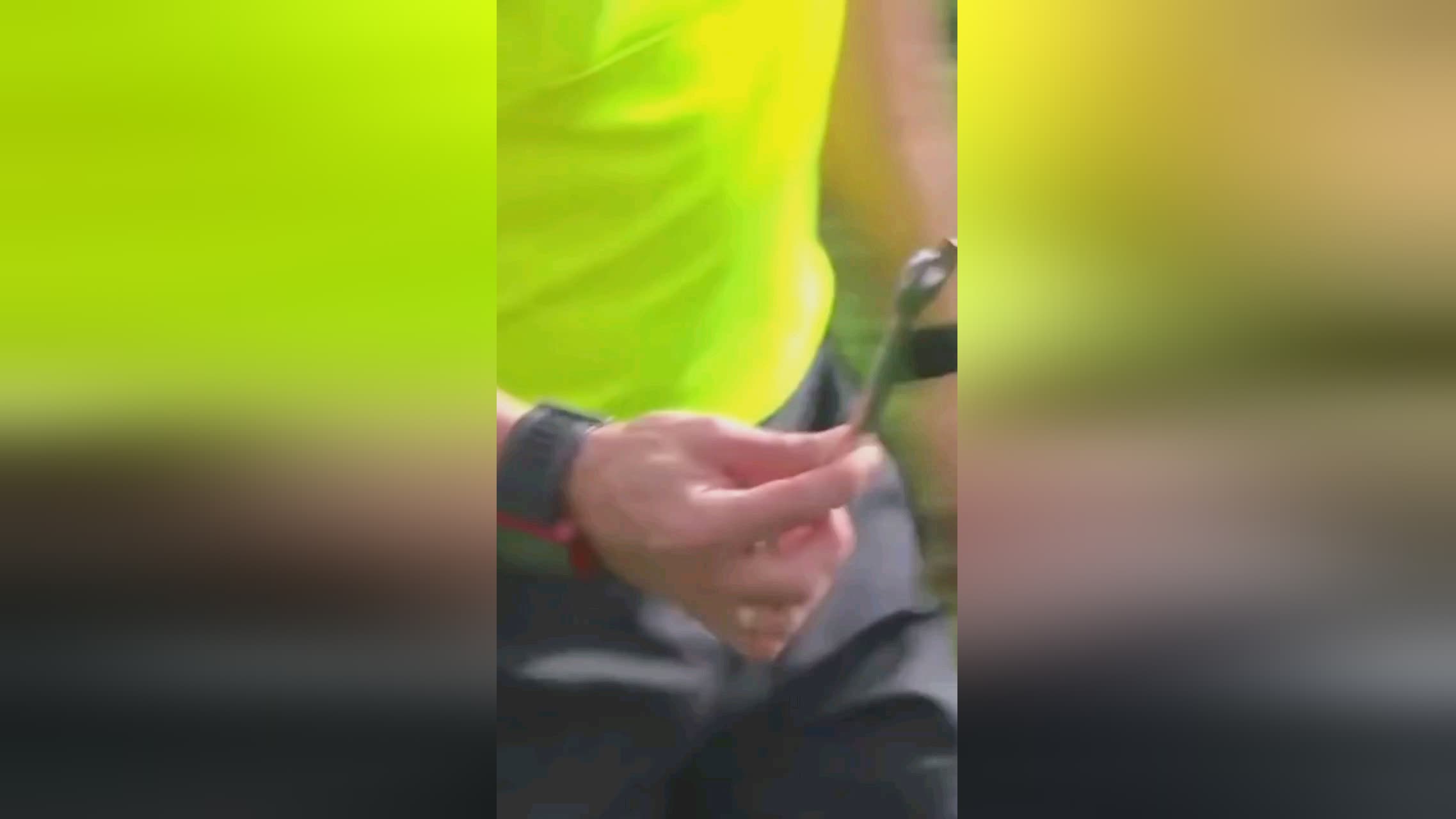 近年来赛