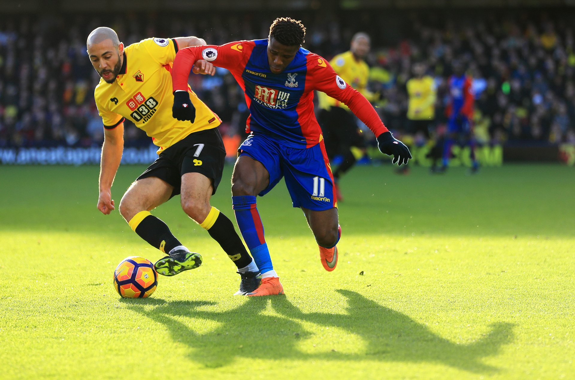 三峡竹海 三峡竹海